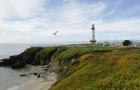 pigeon point coastal hostel pigeon point coastal hostel